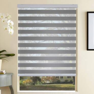 71GDAmmElpL._AC_UF1000,1000_QL80_